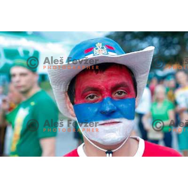 Fans during basketball match Serbia and Macedonia in Preliminary round group B at EuroBasket 2013, played in Arena Podmezakla on September 6th, Jesenice, Slovenia 