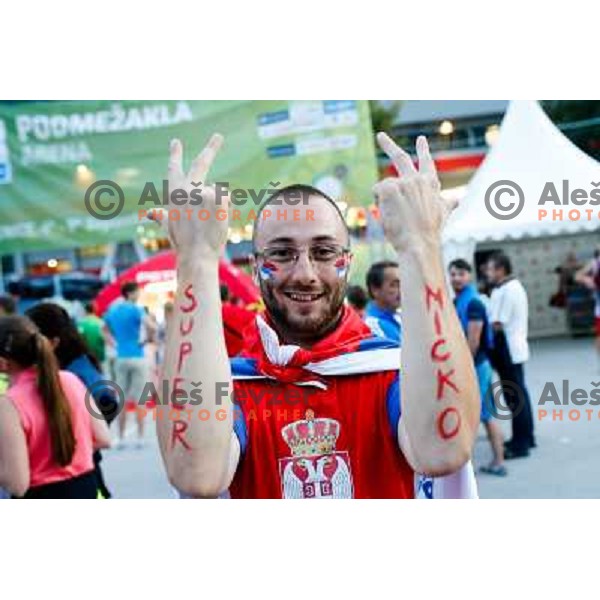 Fans during basketball match Serbia and Macedonia in Preliminary round group B at EuroBasket 2013, played in Arena Podmezakla on September 6th, Jesenice, Slovenia 