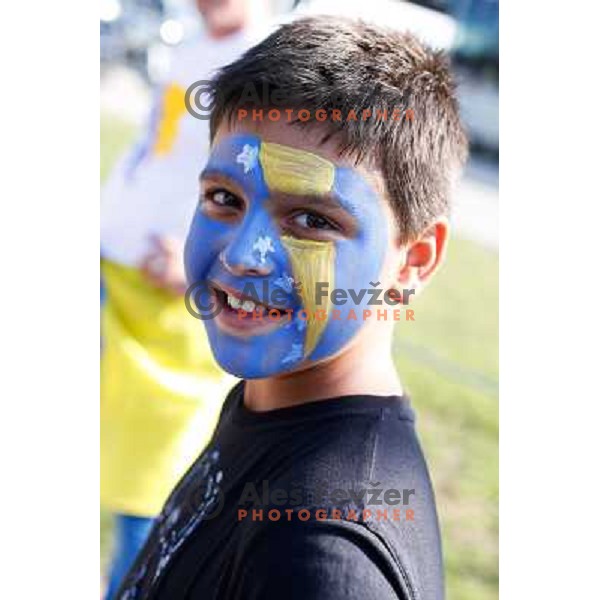 Fans during basketball match between Montenegro and Bosnia and Hercegovina in Preliminary round group B at EuroBasket 2013, played in Arena Podmezakla on September 6th, Jesenice, Slovenia 