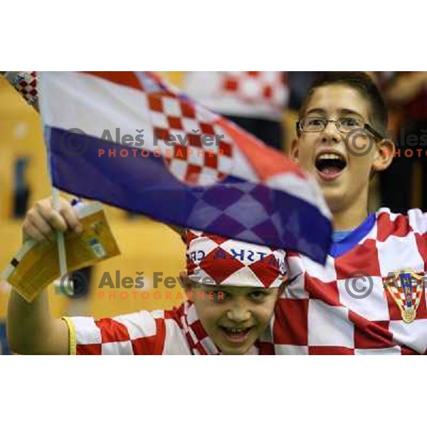 of Croatia at basketball match Croatia-Poland in Preliminary round group C of Eurobasket 2013, played in Arena Zlatorog , Celje, Slovenia on September 7, 2013 