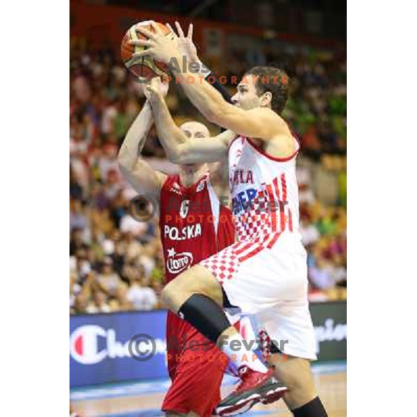 of Croatia at basketball match Croatia-Poland in Preliminary round group C of Eurobasket 2013, played in Arena Zlatorog , Celje, Slovenia on September 7, 2013 