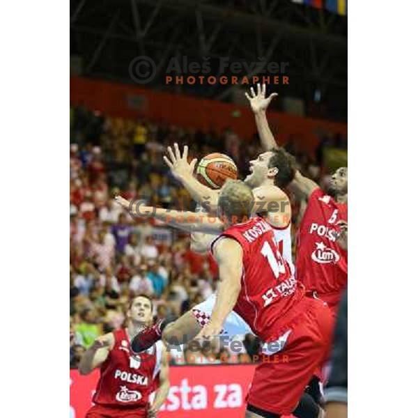of Croatia at basketball match Croatia-Poland in Preliminary round group C of Eurobasket 2013, played in Arena Zlatorog , Celje, Slovenia on September 7, 2013 