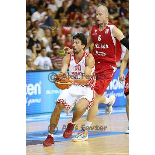 of Croatia at basketball match Croatia-Poland in Preliminary round group C of Eurobasket 2013, played in Arena Zlatorog , Celje, Slovenia on September 7, 2013 