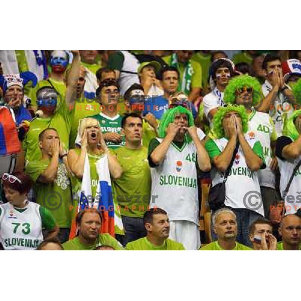 Fans of Slovenia in action during basketball match Slovenia-Georgia in Preliminary Round Group C of Eurobasket 2013, played at Arena Zllatorog, Celje, Slovenia on September 7, 2013 
