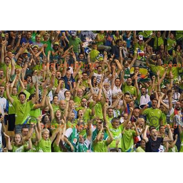 Fans of Slovenia in action during basketball match Slovenia-Georgia in Preliminary Round Group C of Eurobasket 2013, played at Arena Zllatorog, Celje, Slovenia on September 7, 2013 