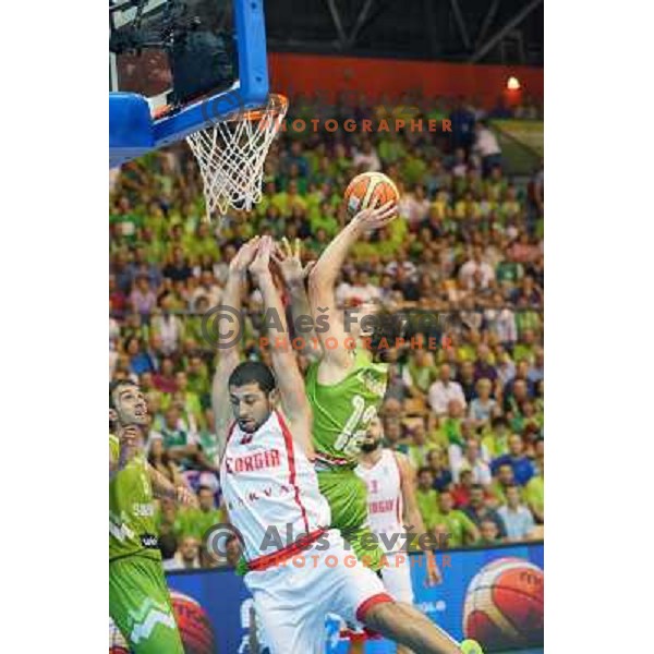 Zoran Dragic of Slovenia in action during basketball match Slovenia-Georgia in Preliminary Round Group C of Eurobasket 2013, played at Arena Zllatorog, Celje, Slovenia on September 7, 2013 