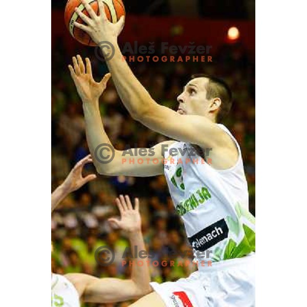 Domen Lorbek of Slovenia in action during basketball match Slovenia-Croatia in preliminary round group C of Eurobasket 2013, played in Arena Zlatorog in Celje, Slovenia on September 8, 2013 