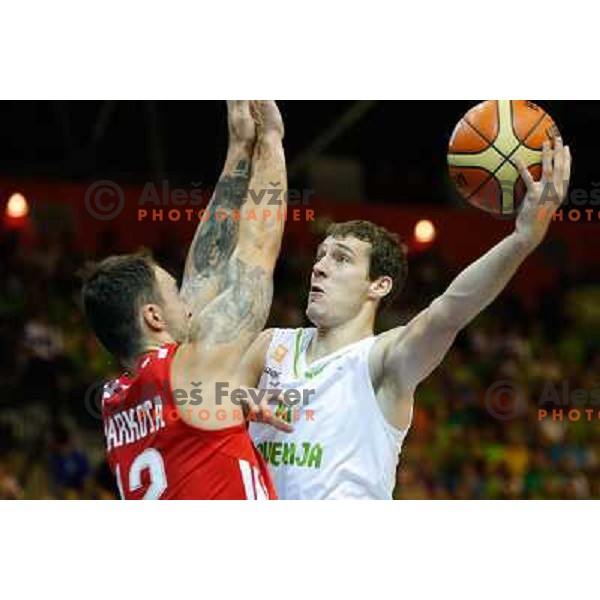 of Slovenia in action during basketball match Slovenia-Croatia in preliminary round group C of Eurobasket 2013, played in Arena Zlatorog in Celje, Slovenia on September 8, 2013 