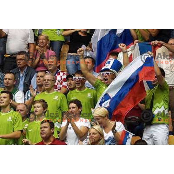 Fans of Slovenia at basketball match Slovenia vs Croatia in preliminary round group C of Eurobasket 2013, played in Arena Zlatorog in Celje, Slovenia on September 8, 2013 