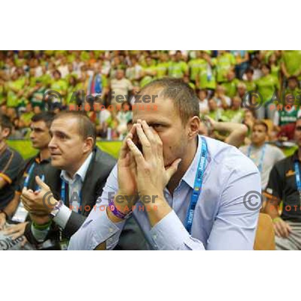 Raso Nesterovic of Slovenia at basketball match Slovenia vs Croatia in preliminary round group C of Eurobasket 2013, played in Arena Zlatorog in Celje, Slovenia on September 8, 2013 