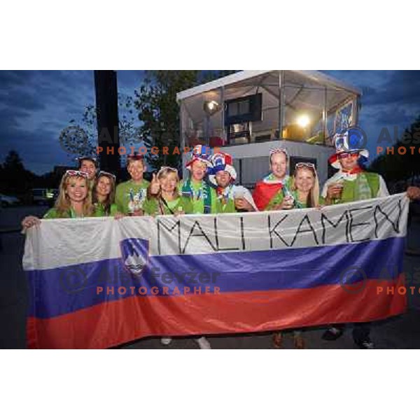 Fans of Slovenia at basketball match Slovenia vs Croatia in preliminary round group C of Eurobasket 2013, played in Arena Zlatorog in Celje, Slovenia on September 8, 2013 