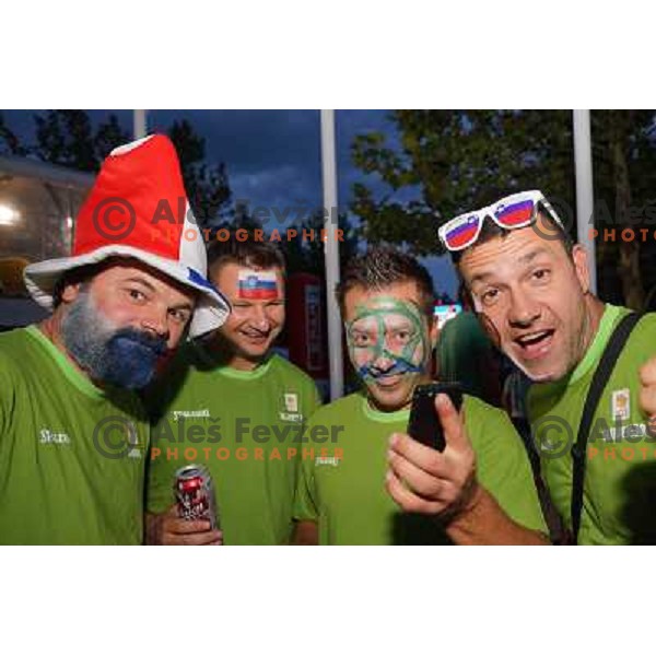 Fans of Slovenia at basketball match Slovenia vs Croatia in preliminary round group C of Eurobasket 2013, played in Arena Zlatorog in Celje, Slovenia on September 8, 2013 