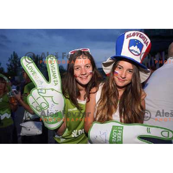 Fans of Slovenia at basketball match Slovenia vs Croatia in preliminary round group C of Eurobasket 2013, played in Arena Zlatorog in Celje, Slovenia on September 8, 2013 