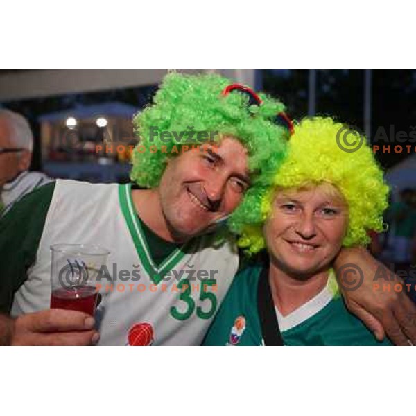 Fans of Slovenia at basketball match Slovenia vs Croatia in preliminary round group C of Eurobasket 2013, played in Arena Zlatorog in Celje, Slovenia on September 8, 2013 