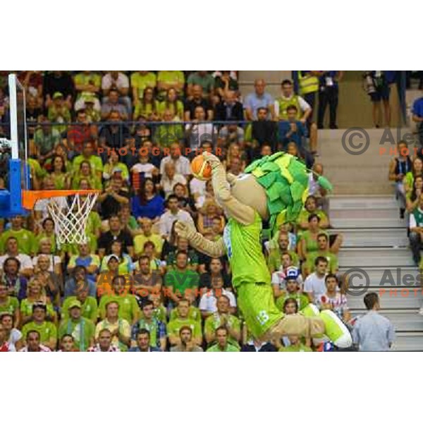 Lipko at basketball match Slovenia vs Croatia in preliminary round group C of Eurobasket 2013, played in Arena Zlatorog in Celje, Slovenia on September 8, 2013 