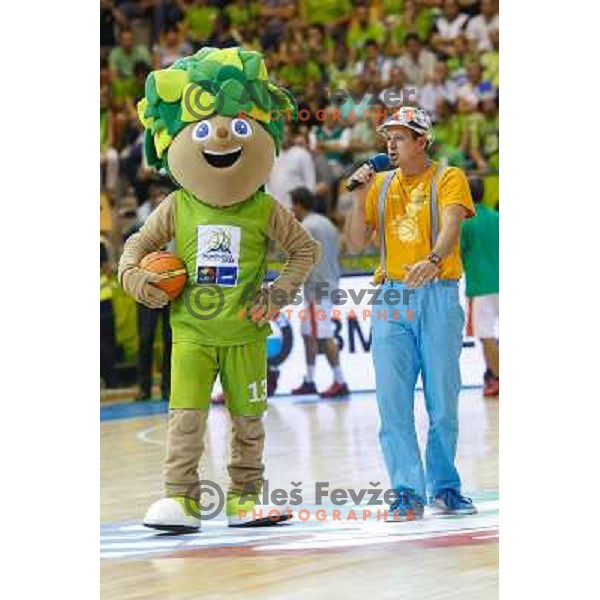 of Slovenia at basketball match Slovenia vs Croatia in preliminary round group C of Eurobasket 2013, played in Arena Zlatorog in Celje, Slovenia on September 8, 2013 