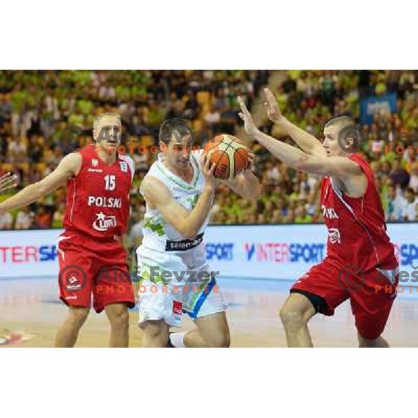 Domen Lorbek of Slovenia in action during basketball match Slovenia vs Poland in preliminary round group C of Eurobasket 2013, played in Arena Zlatorog in Celje, Slovenia on September 9, 2013 