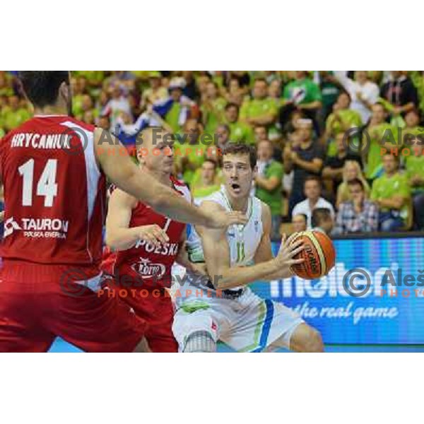 Goran Dragic of Slovenia in action during basketball match Slovenia vs Poland in preliminary round group C of Eurobasket 2013, played in Arena Zlatorog in Celje, Slovenia on September 9, 2013 