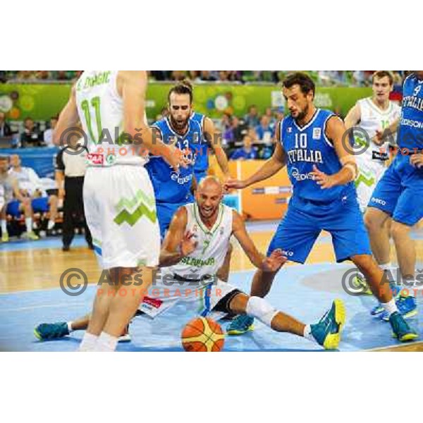 Nebojsa Joksimovic of Slovenia in action during basketball match Slovenia-Italy in main round group F of Eurobasket 2013, played in Arena Stozice in Ljubljana, Slovenia on September 12, 2013 
