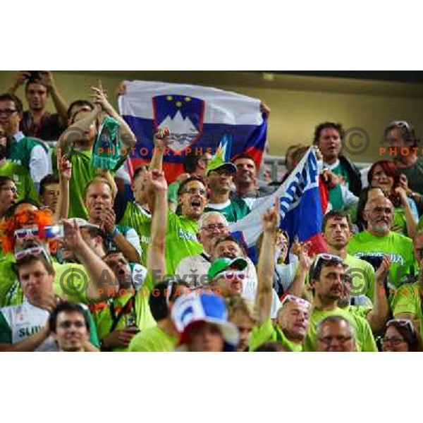 Fans of Slovenia in action during basketball match Slovenia-Italy in second round group F of Eurobasket 2013, played in Arena Stozice in Ljubljana, Slovenia on September 12, 2013 