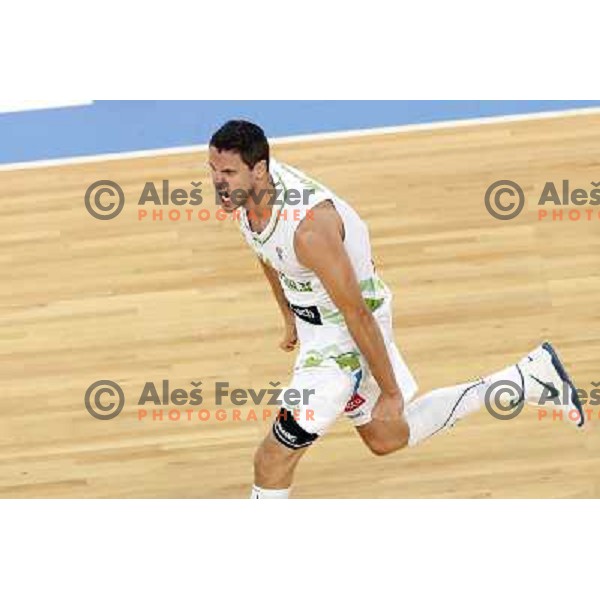 Bostjan Nachbar of Slovenia in action during basketball match Slovenia-Italy in second round group F of Eurobasket 2013, played in Arena Stozice in Ljubljana, Slovenia on September 12, 2013 