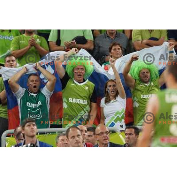 Fans of Slovenia in action during basketball match Slovenia-Greece in second round group F of Eurobasket 2013, played in Arena Stozice in Ljubljana, Slovenia on September 14, 2013 