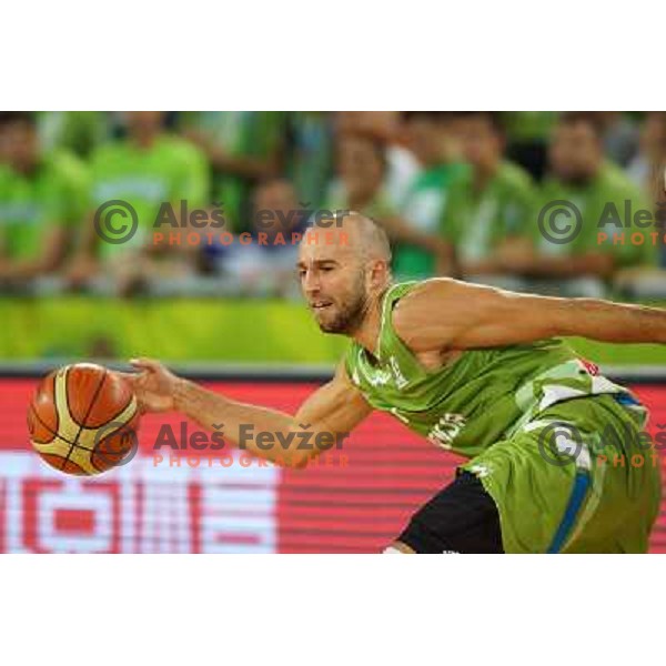 Nebojsa Joksimovic of Slovenia in action during basketball match Slovenia-Greece in second round group F of Eurobasket 2013, played in Arena Stozice in Ljubljana, Slovenia on September 14, 2013 