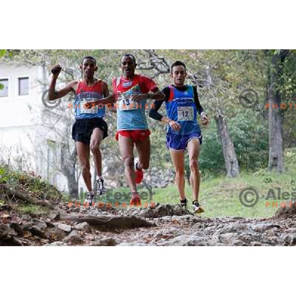 Yossief Teklay, Azerya Teklay and Alex Baldaccini running during 34. Smarna gora mountain race, WMRA Grand Prix- Final on October 5, 2013 in Ljubljana, Slovenija 
