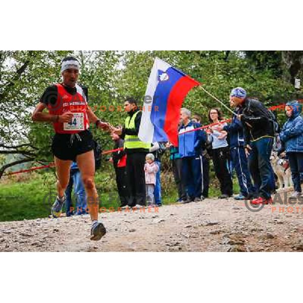 Maurizio Torri running during 34. Smarna gora mountain race, WMRA Grand Prix- Final on October 5, 2013 in Ljubljana, Slovenija 