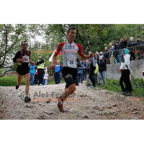 Ziga Trontelj running during 34. Smarna gora mountain race, WMRA Grand Prix- Final on October 5, 2013 in Ljubljana, Slovenija 