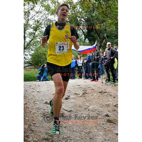 Aljaz Bozic running during 34. Smarna gora mountain race, WMRA Grand Prix- Final on October 5, 2013 in Ljubljana, Slovenija 
