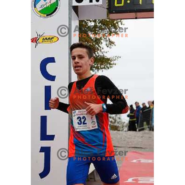 Andrei Leanca running during 34. Smarna gora mountain race, WMRA Grand Prix- Final on October 5, 2013 in Ljubljana, Slovenija 