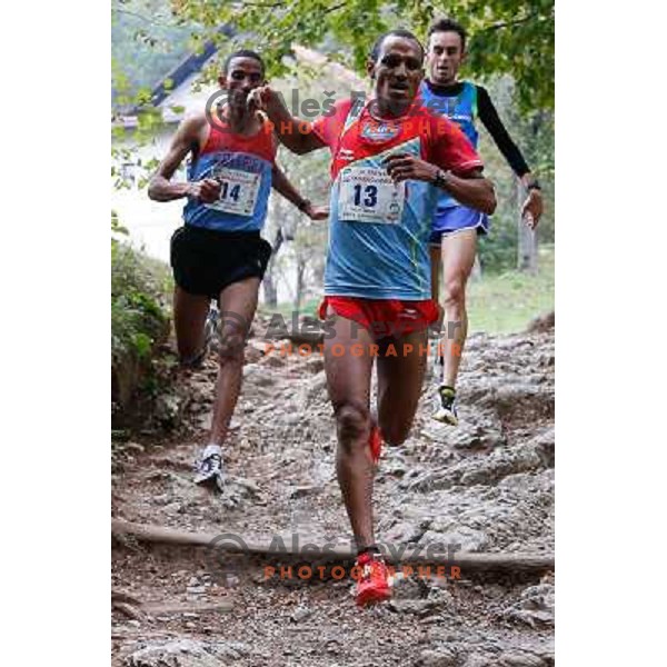 Yossief Teklay, Azerya Teklay and Alex Baldaccini running during 34. Smarna gora mountain race, WMRA Grand Prix- Final on October 5, 2013 in Ljubljana, Slovenija 