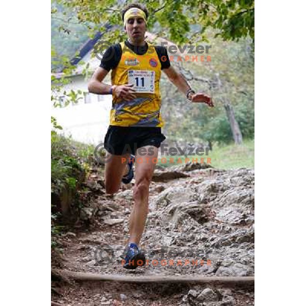 Mitja Kosovelj running during 34. Smarna gora mountain race, WMRA Grand Prix- Final on October 5, 2013 in Ljubljana, Slovenija 