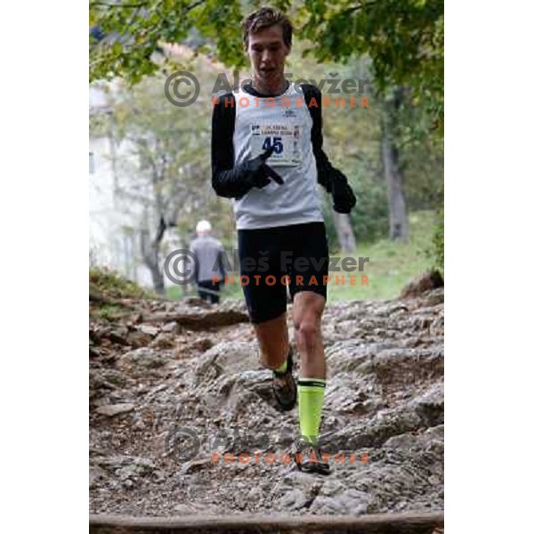 Sandor Szabo running during 34. Smarna gora mountain race, WMRA Grand Prix- Final on October 5, 2013 in Ljubljana, Slovenija 