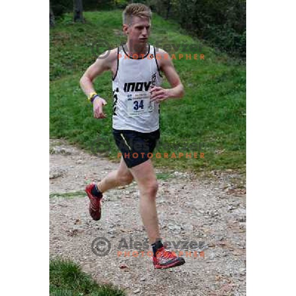 Gary Priestley running during 34. Smarna gora mountain race, WMRA Grand Prix- Final on October 5, 2013 in Ljubljana, Slovenija 