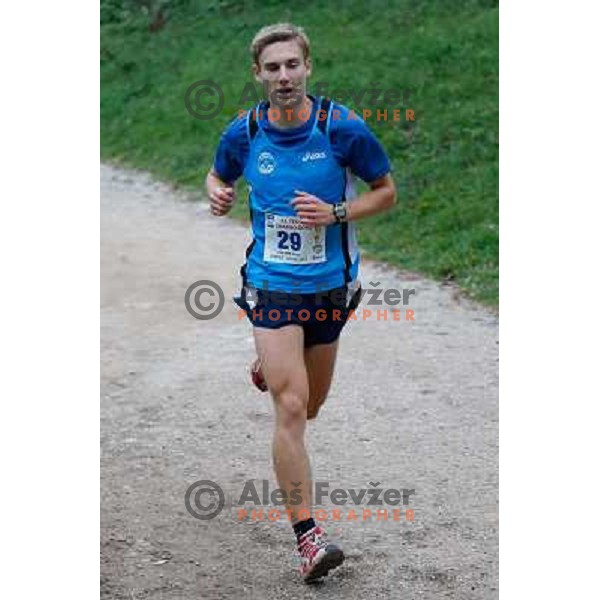 Matic Plaznik running during 34. Smarna gora mountain race, WMRA Grand Prix- Final on October 5, 2013 in Ljubljana, Slovenija 