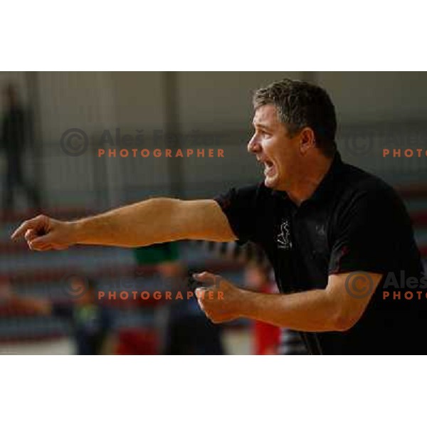 Iztok Godec, headcoach of Sevnica in action during handball match between RD Slovan and RK Sevnica, played in Kodeljevo Hall, Ljubljana, Slovenia on October 5, 2013 