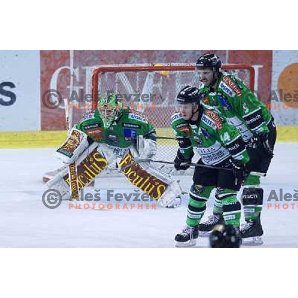 Jerry Kuhn of Telemach Olimpija in action during ice-hockey match Telemach Olimpija- Vienna Capitals in round 10 of Ebel league 2013/2014, played in Hala Tivoli, Ljulbjana, Slovenia on October 8,2013 