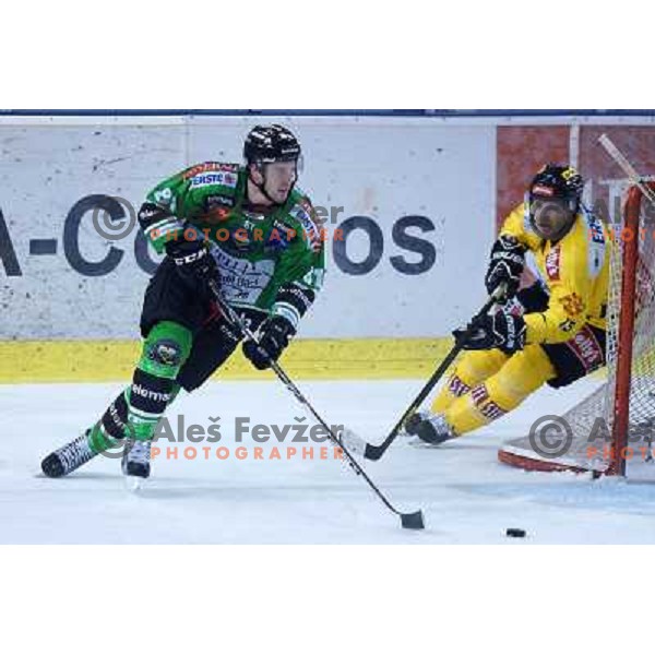Nicholas Ross of Telemach Olimpija in action during ice-hockey match Telemach Olimpija- Vienna Capitals in round 7 of Ebel league 2013/2014, played in Hala Tivoli, Ljulbjana, Slovenia on October 8,2013 