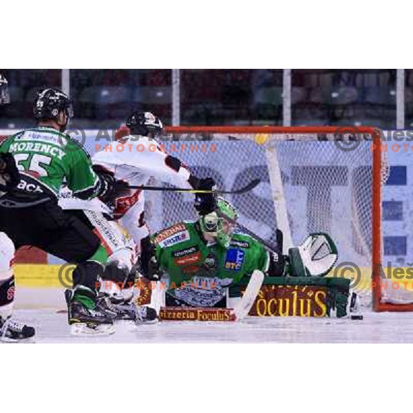 Jerry Kuhn of Telemach Olimpija in action during ice-hockey match Telemach Olimpija- TWK Innsbruck in round 13 of Ebel league 2013/2014, played in Hala Tivoli, Ljulbjana, Slovenia on October 19,2013 