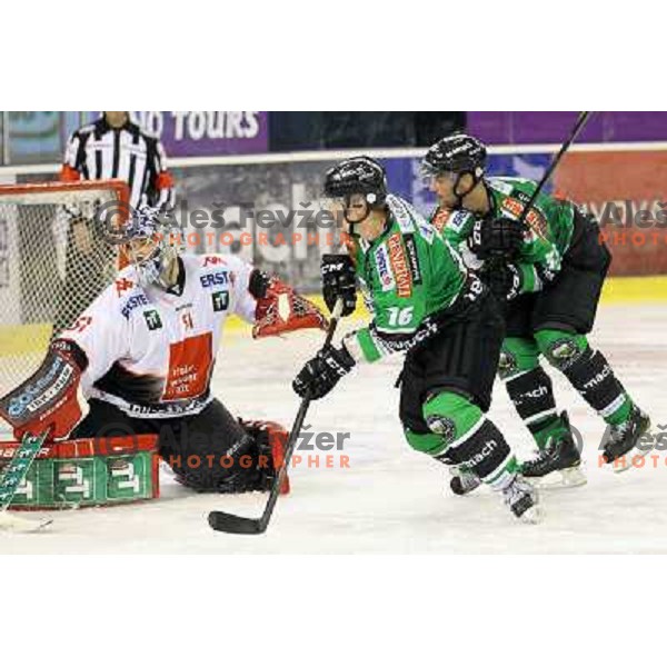 Ales Music of Telemach Olimpija in action during ice-hockey match Telemach Olimpija- TWK Innsbruck in round 13 of Ebel league 2013/2014, played in Hala Tivoli, Ljulbjana, Slovenia on October 19,2013 