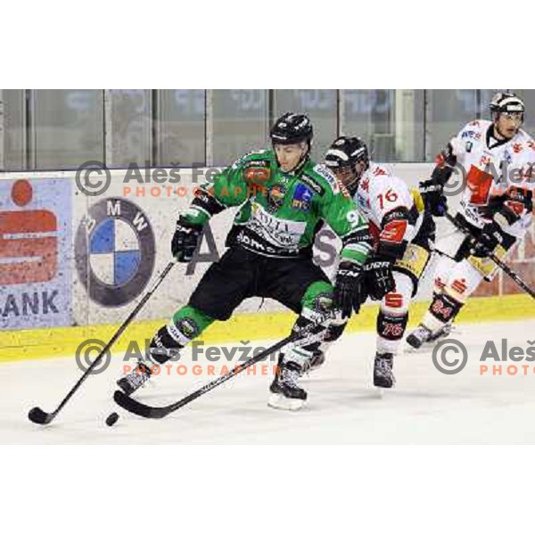 Miha Verlic of Telemach Olimpija in action during ice-hockey match Telemach Olimpija- TWK Innsbruck in round 13 of Ebel league 2013/2014, played in Hala Tivoli, Ljulbjana, Slovenia on October 19,2013 