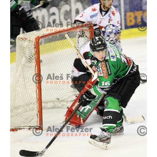 Ales Music of Telemach Olimpija in action during ice-hockey match Telemach Olimpija- TWK Innsbruck in round 13 of Ebel league 2013/2014, played in Hala Tivoli, Ljulbjana, Slovenia on October 19,2013 