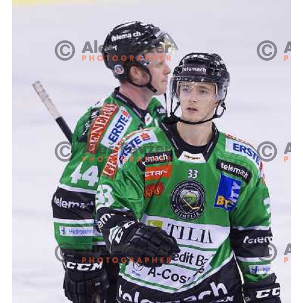 Jure Sotlar of Telemach Olimpija in action during ice-hockey match Telemach Olimpija- TWK Innsbruck in round 13 of Ebel league 2013/2014, played in Hala Tivoli, Ljulbjana, Slovenia on October 19,2013 