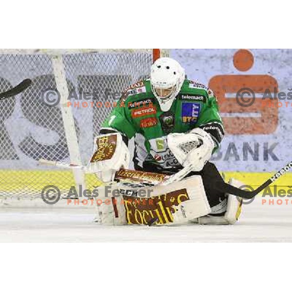 Ales Sila of Telemach Olimpija in action during ice-hockey match Telemach Olimpija- VSV in round 14 of Ebel league 2013/2014, played in Hala Tivoli, Ljulbjana, Slovenia on October 20,2013 