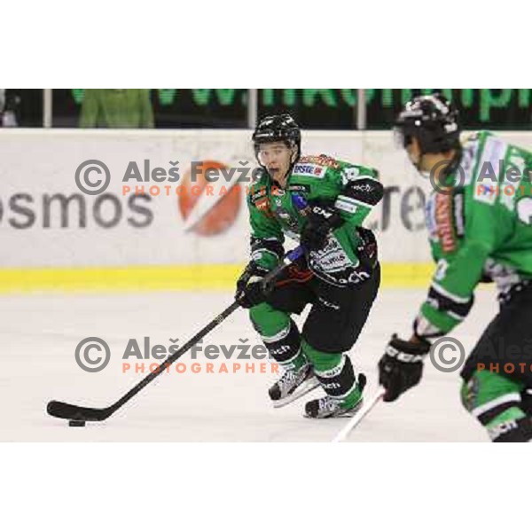 Ken Ograjensek of Telemach Olimpija in action during ice-hockey match Telemach Olimpija- VSV in round 14 of Ebel league 2013/2014, played in Hala Tivoli, Ljulbjana, Slovenia on October 20,2013 