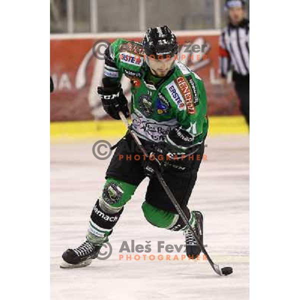 Ziga Pesut of Telemach Olimpija in action during ice-hockey match Telemach Olimpija- VSV in round 14 of Ebel league 2013/2014, played in Hala Tivoli, Ljulbjana, Slovenia on October 20,2013 