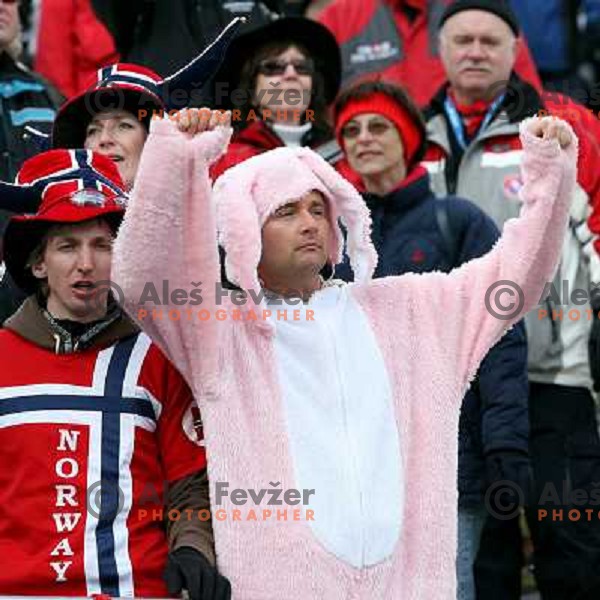 Norway fans in final round of e-on ruhrgas FIS World cup in Ski jumping in Planica 23.2.2007, Slovenia
