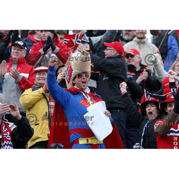 Norway fans in final round of e-on ruhrgas FIS World cup in Ski jumping in Planica 23.2.2007, Slovenia